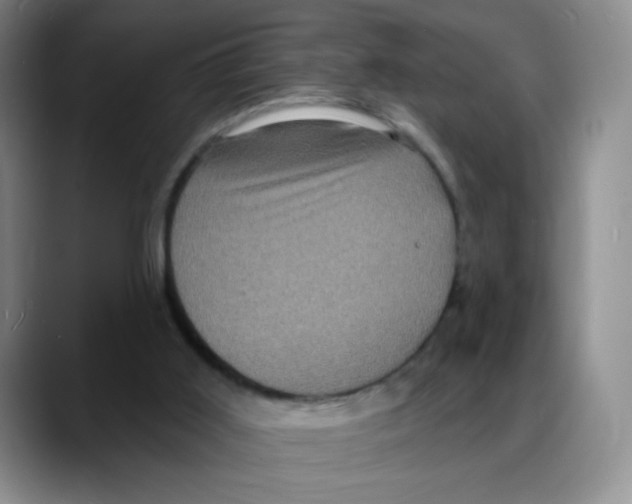 X0000088080011200706081739