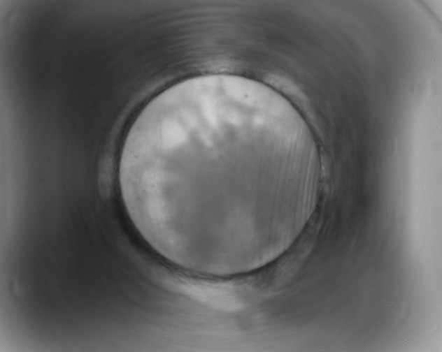 X0000088080012200706081739