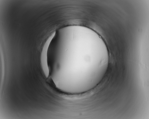 X0000088080013200706081739