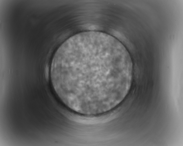 X0000088080014200706081739