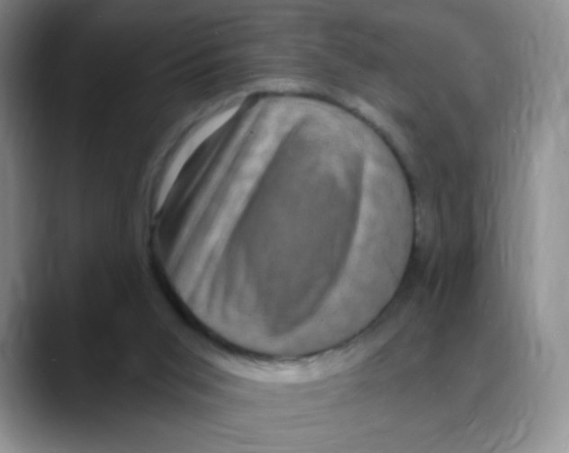 X0000088080015200706081739