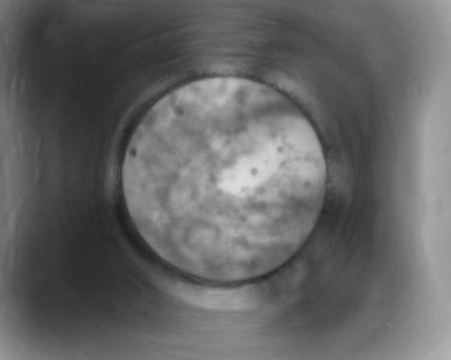 X0000088080016200706081739