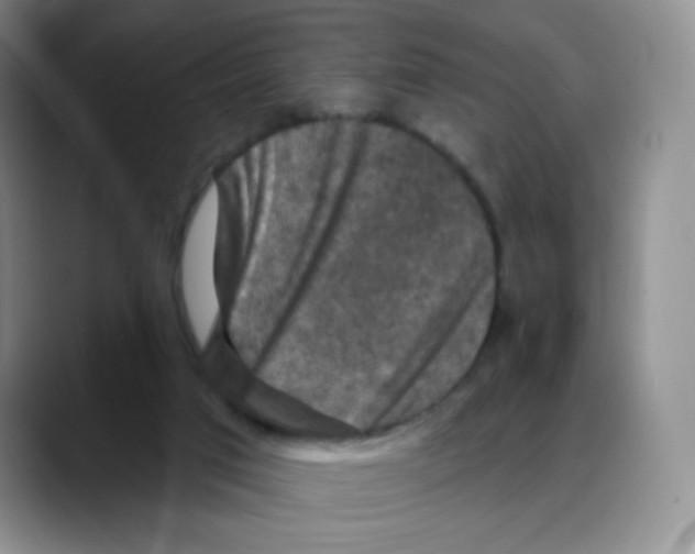 X0000088080017200706081739