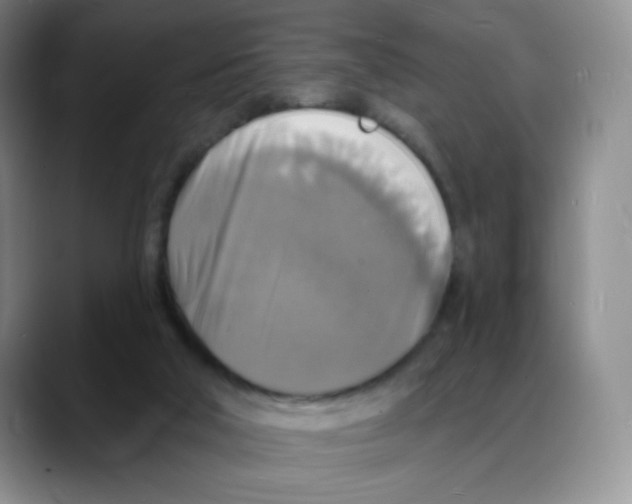 X0000088080018200706081739