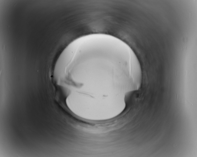 X0000088080019200706081739