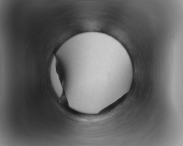 X0000088080021200706081738