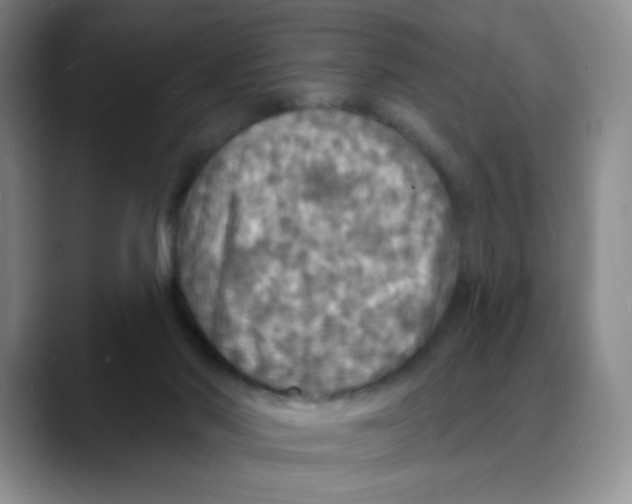 X0000088080022200706081738