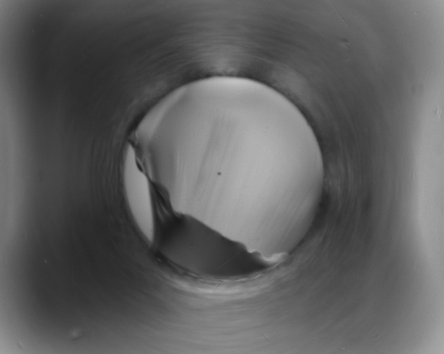 X0000088080023200706081738