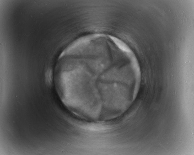 X0000088080024200706081738