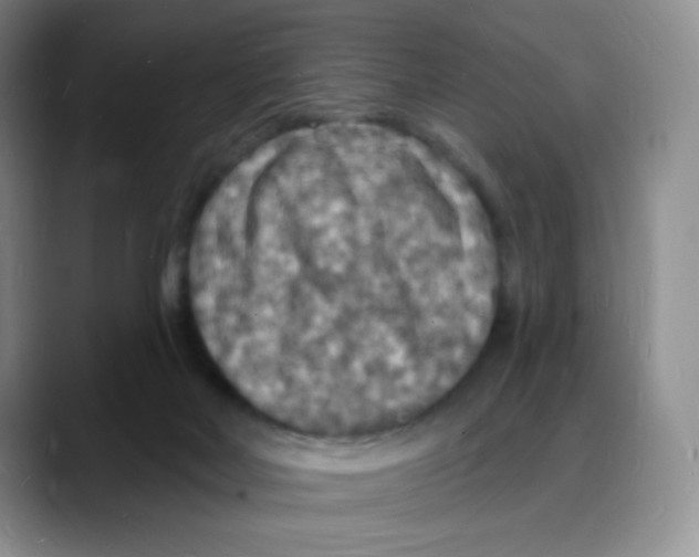 X0000088080026200706081738