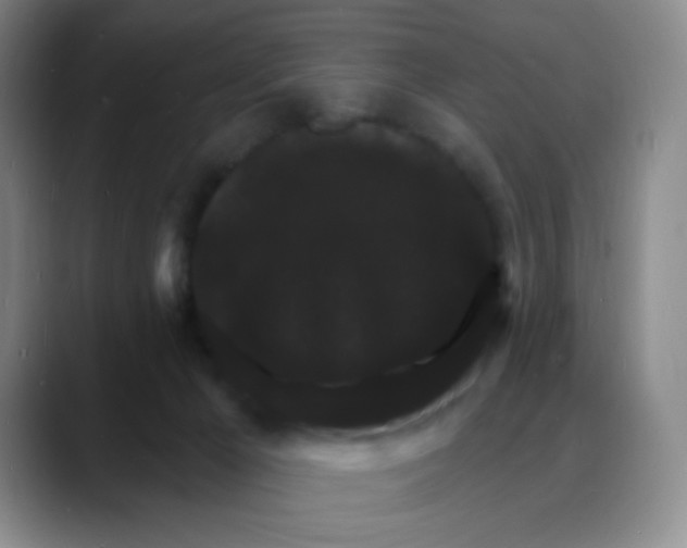 X0000088080029200706081738