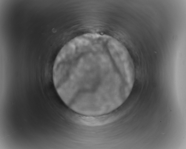 X0000088080030200706081738