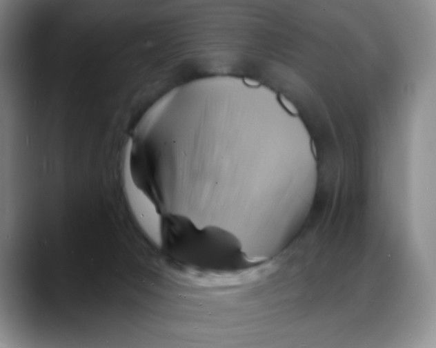 X0000088080031200706081738