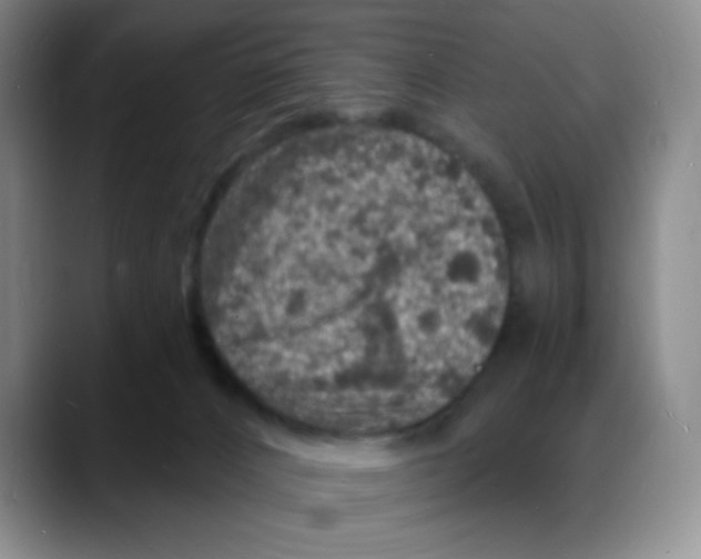 X0000088080032200706081738