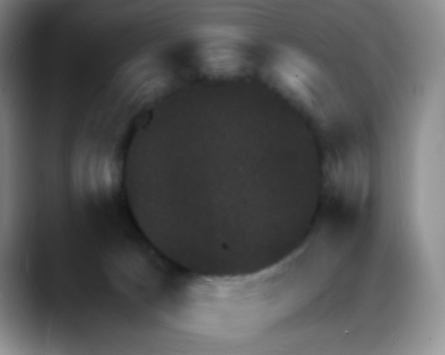 X0000088080033200706081738