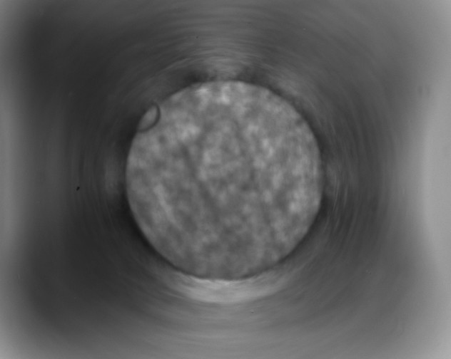 X0000088080034200706081738