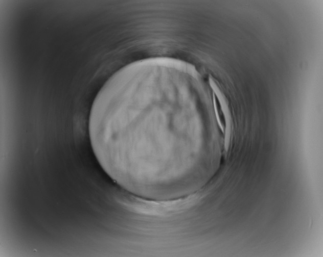 X0000088080035200706081738