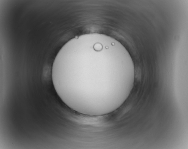 X0000088080036200706081738