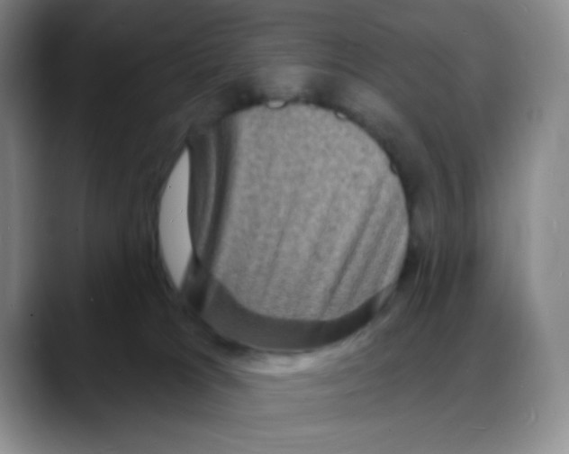 X0000088080037200706081738