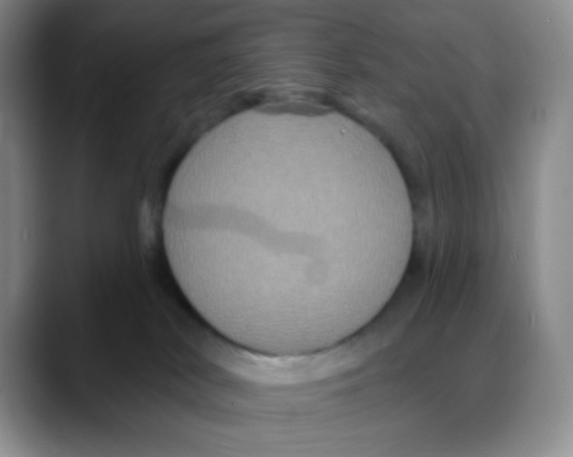 X0000088080038200706081738