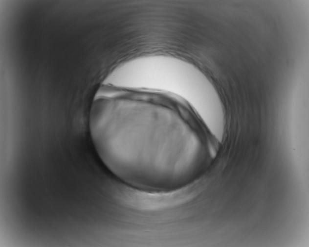 X0000088080039200706081738