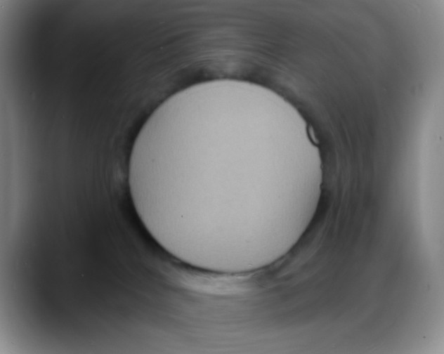 X0000088080040200706081738