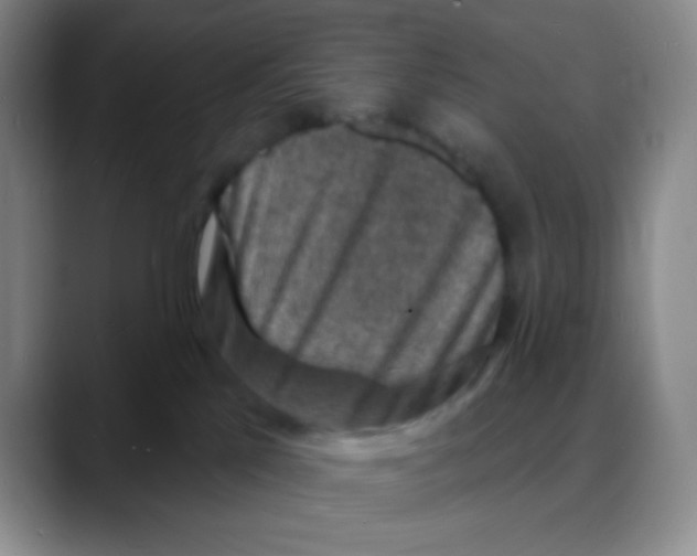 X0000088080041200706081738