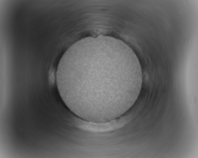 X0000088080042200706081738