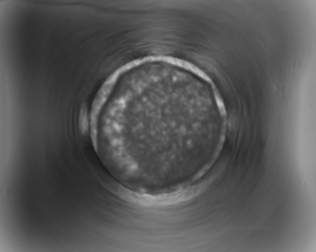 X0000088080046200706081738