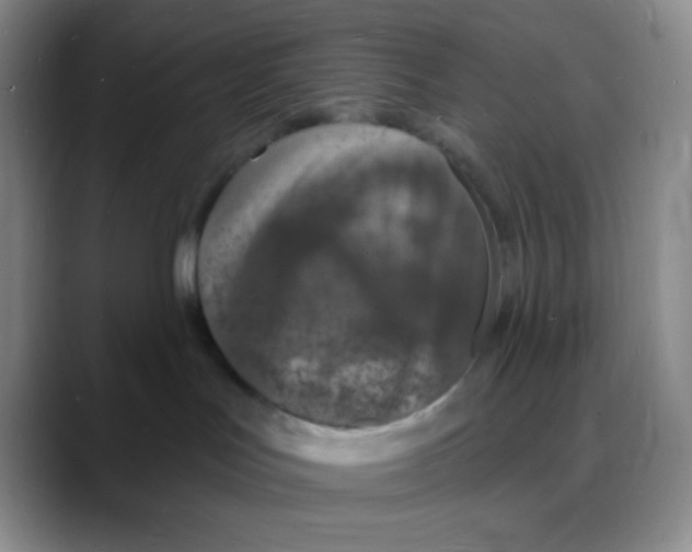 X0000088080047200706081738