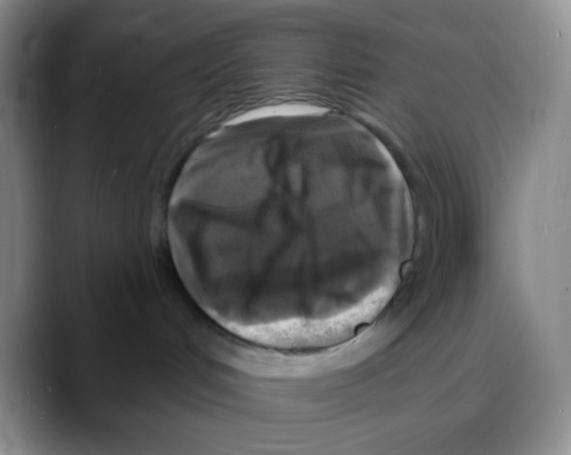 X0000088080048200706081738