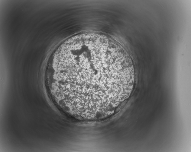 X0000088080049200706081738