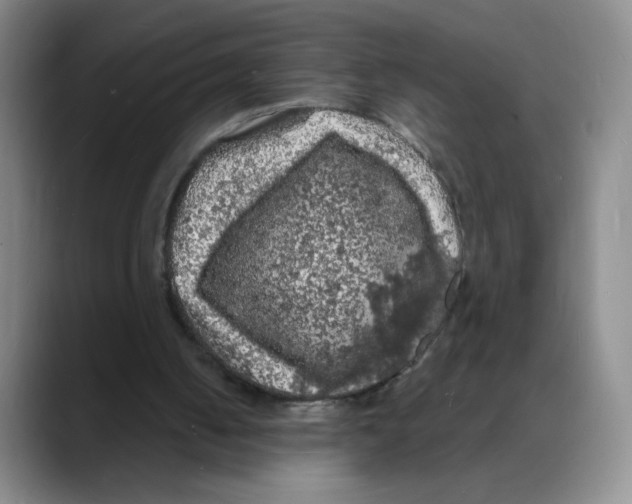 X0000088080050200706081738