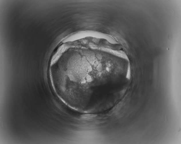 X0000088080051200706081738