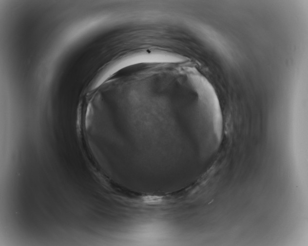 X0000088080052200706081738