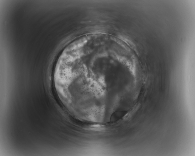 X0000088080053200706081738