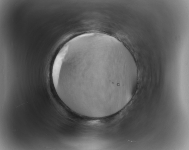 X0000088080054200706081738