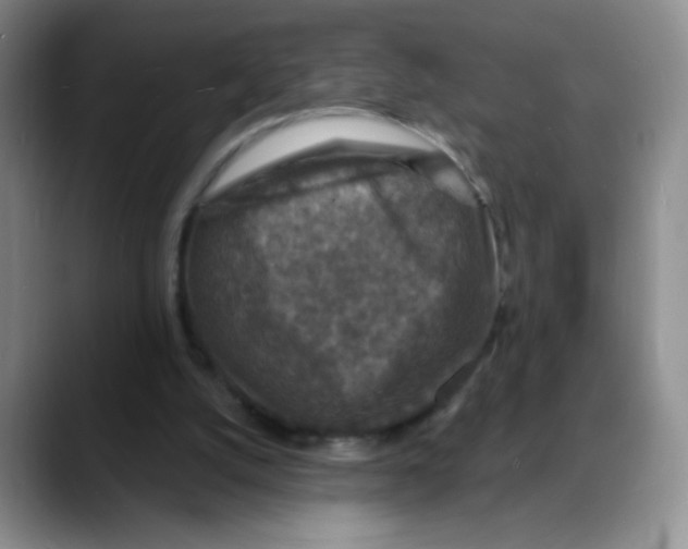 X0000088080056200706081738