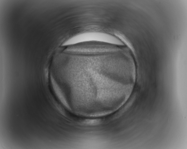 X0000088080057200706081738