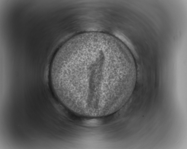 X0000088080058200706081738