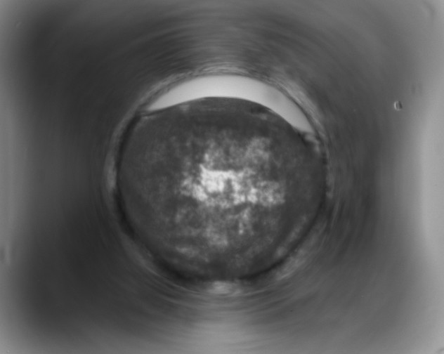 X0000088080060200706081738