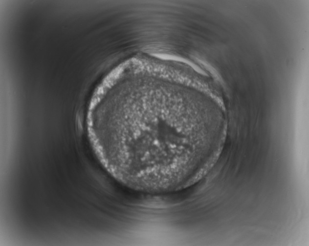 X0000088080062200706081738