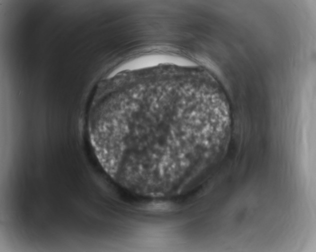 X0000088080063200706081738