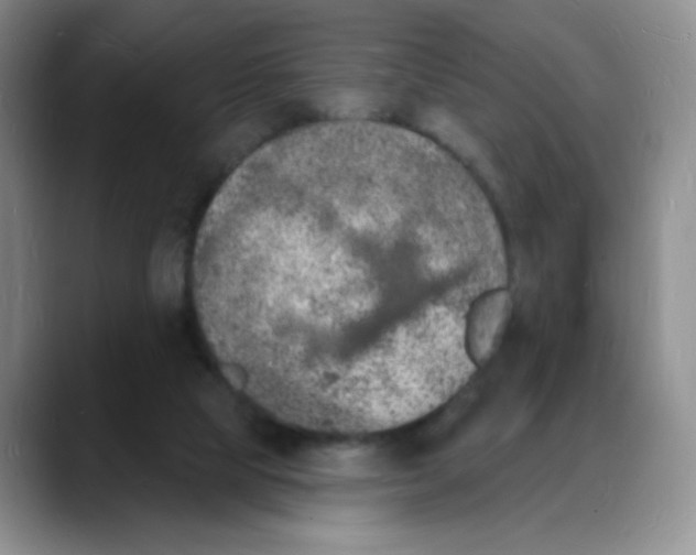 X0000088080065200706081738