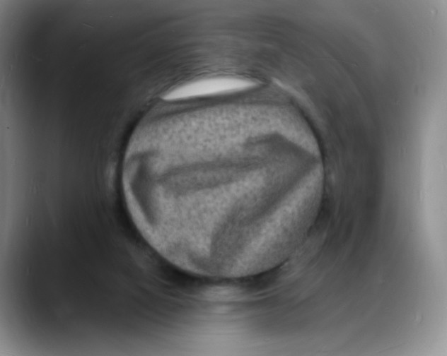 X0000088080066200706081738