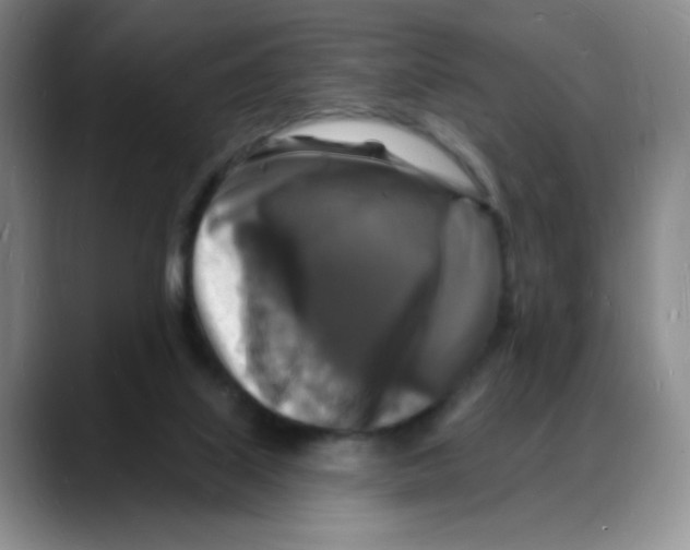 X0000088080067200706081738