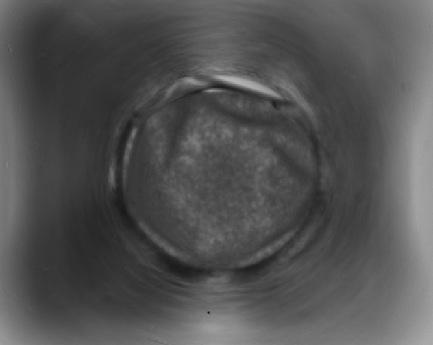 X0000088080068200706081738