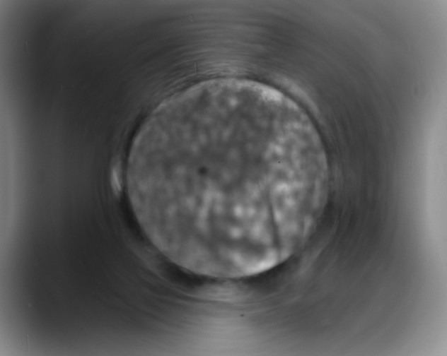 X0000088080069200706081738