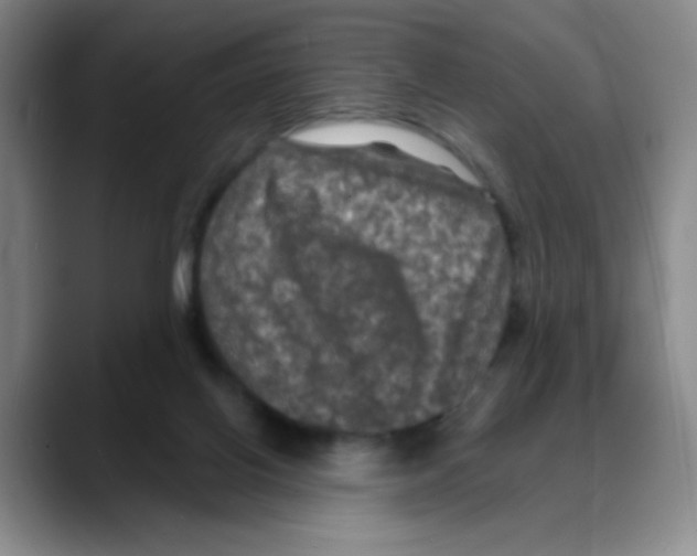 X0000088080070200706081738