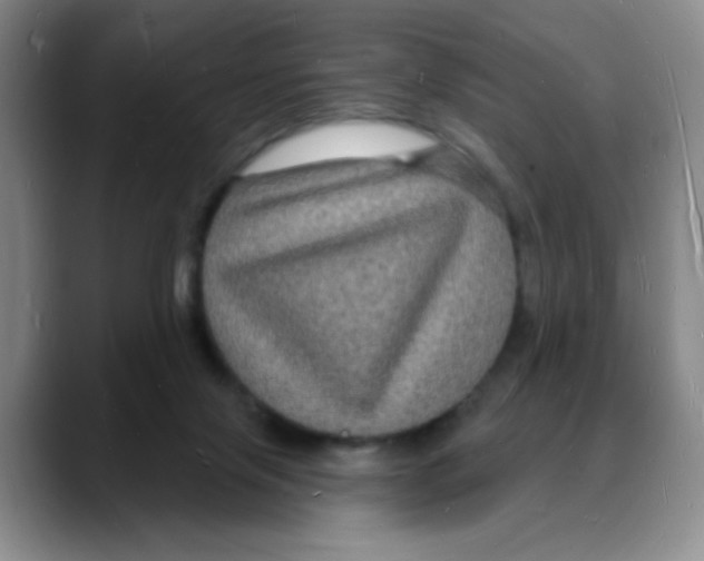 X0000088080071200706081738